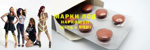 стаф Володарск