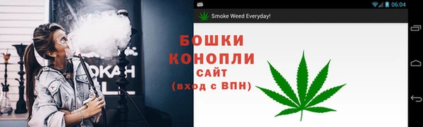 стаф Володарск